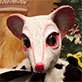 Good Mouse Queen from the Nutcracker Thumbnail